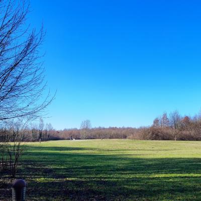Bosco Mestre 6